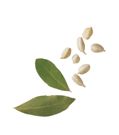 Лавровый лист